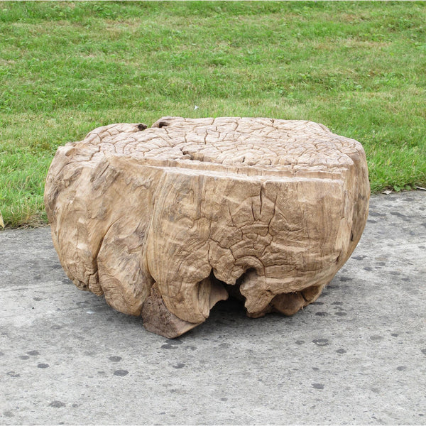 Old Root Sculpture For Coffee Table Ca 100 Yrs Old