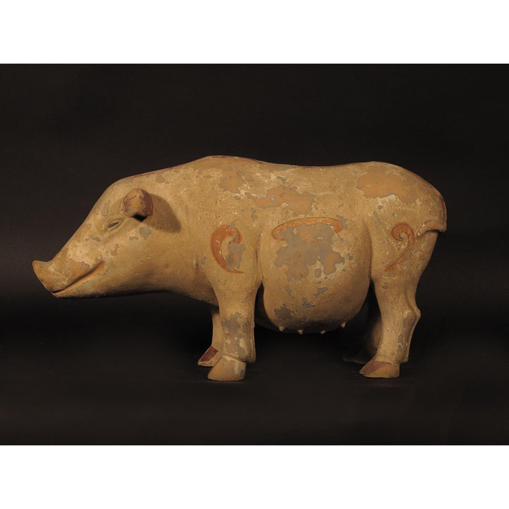 Terracotta Pig | Indigo Oriental Antiques