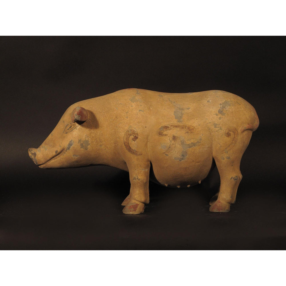 Terracotta Pig | Indigo Oriental Antiques