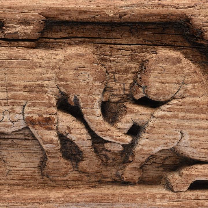 Teak Elephant & Lion Panel From Himachal Pradesh - 18thC | Indigo Antiques