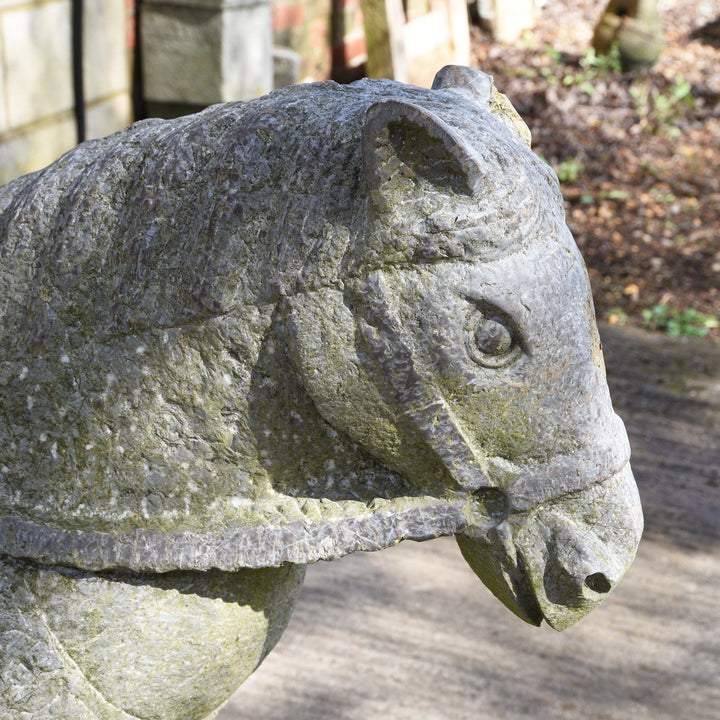 Face Detail From Carved Stone Horse from Hebei Province | Indigo Oriental Antiques