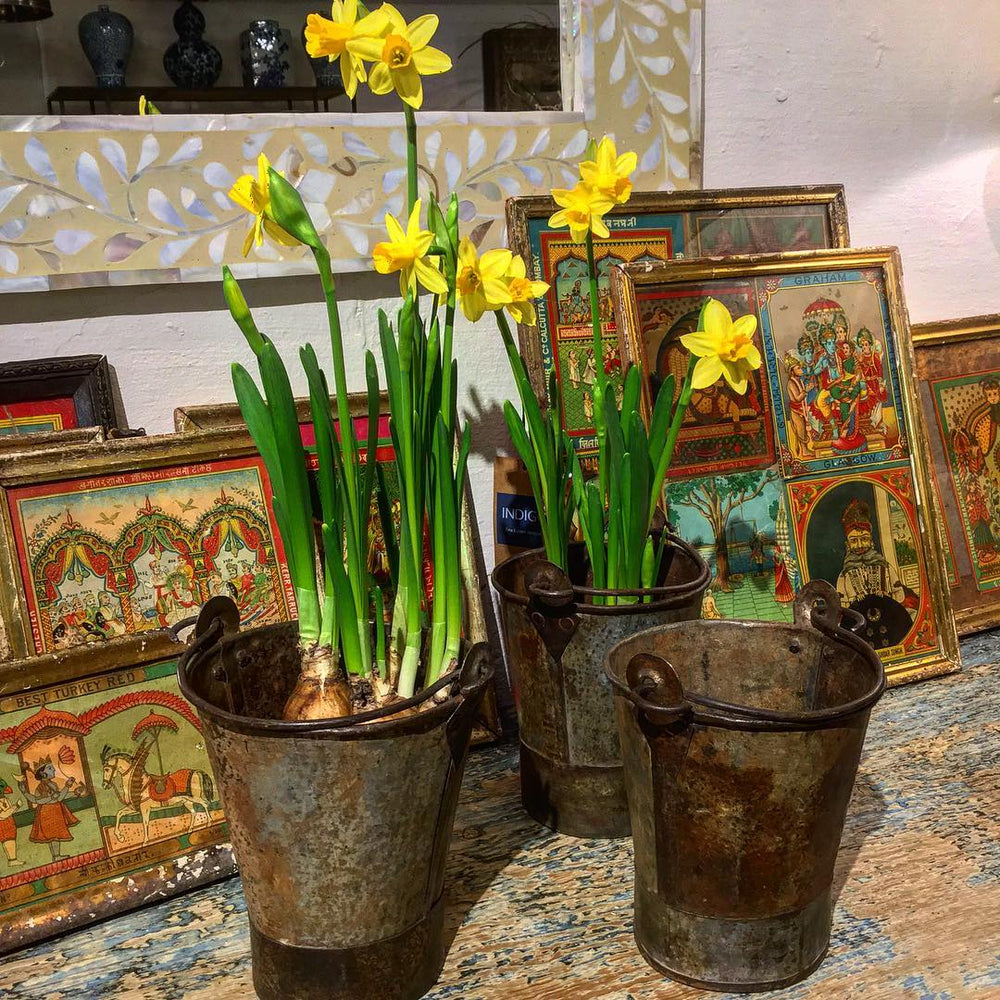 Indian vintage buckets with daffodils and a mother of pearl inlay mirror in the background