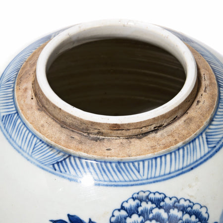 Blue & White Porcelain Ginger Jar - Chrysanthemum Design