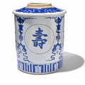 Large Blue & White Porcelain Tea Caddy