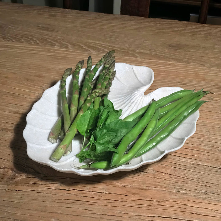 Hand carved white marble lotus serving bowl from India