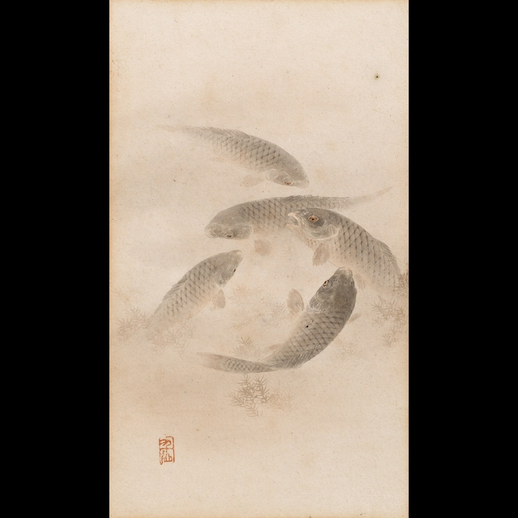 Framed Japanese Watercolour of Swimming Carp - 19thC | Indigo Oriental Antiques