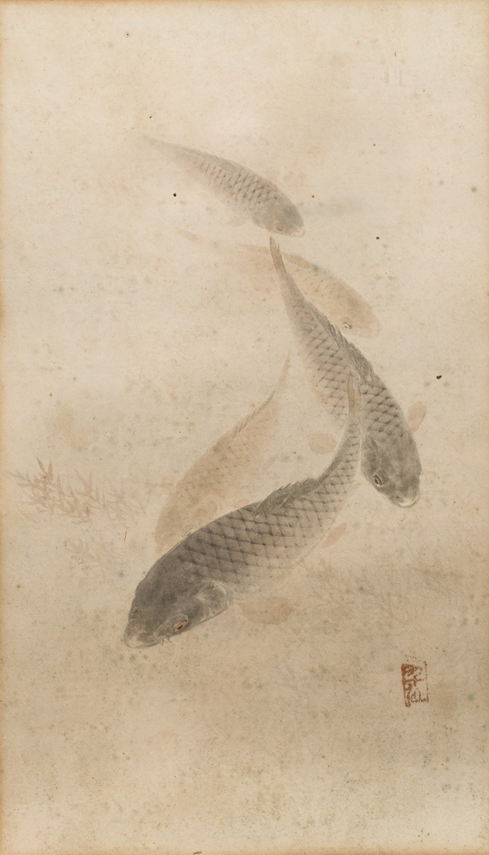 Framed Japanese Watercolour of Swimming Carp - 19thC | Indigo Oriental Antiques