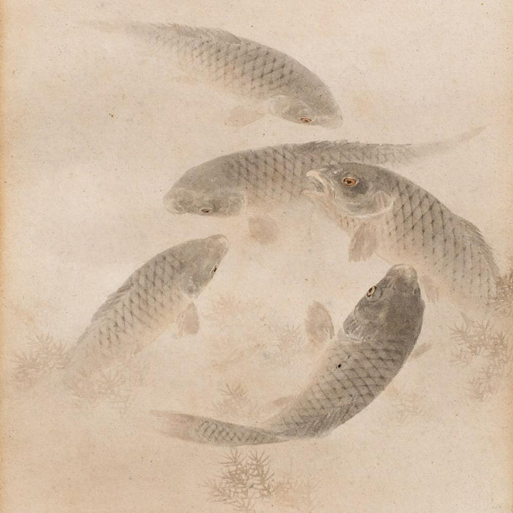 Framed Japanese Watercolour of Swimming Carp - 19thC | Indigo Oriental Antiques