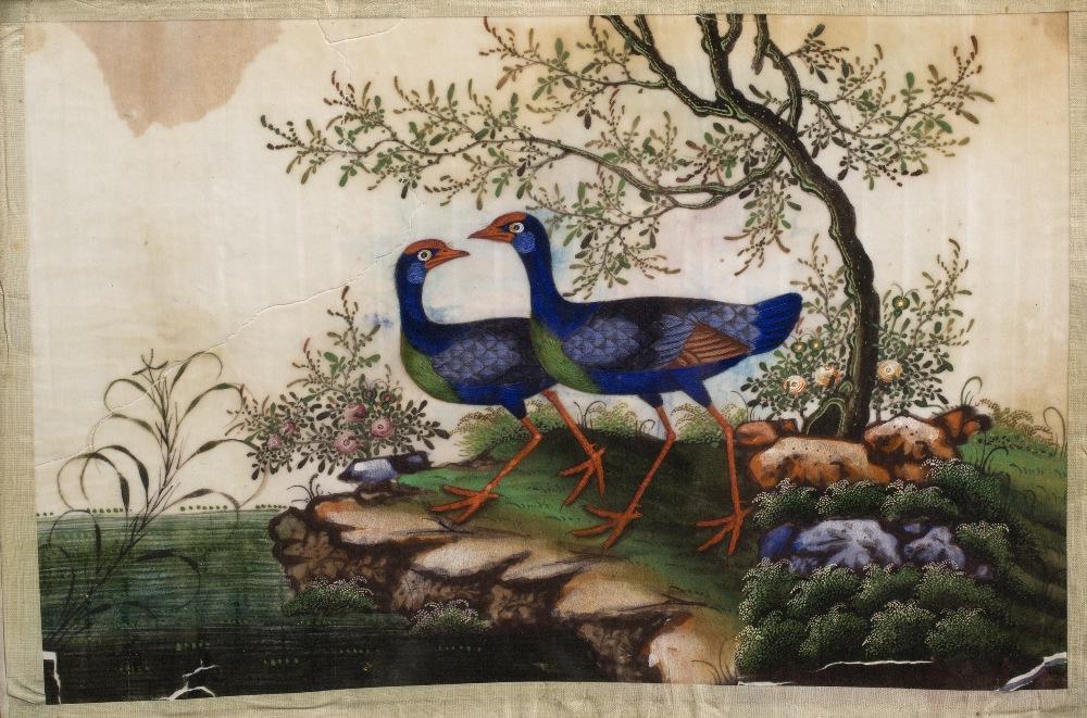 Watercolour Painting of Birds on Pith Paper - 19thC | Indigo Oriental Antiques