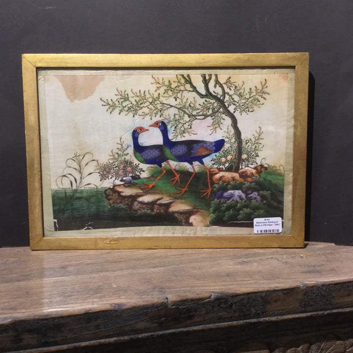 Watercolour Painting of Birds on Pith Paper - 19thC | Indigo Oriental Antiques