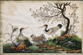 Watercolour Painting of Birds on Pith Paper - 19thC